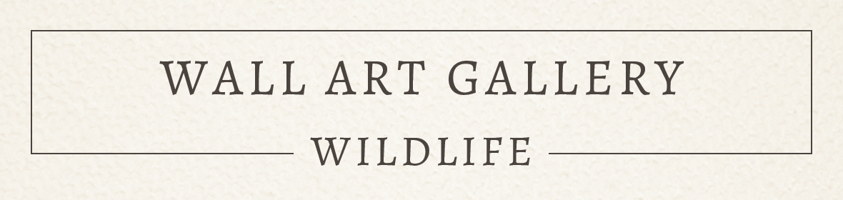 Wall Art Wildlife